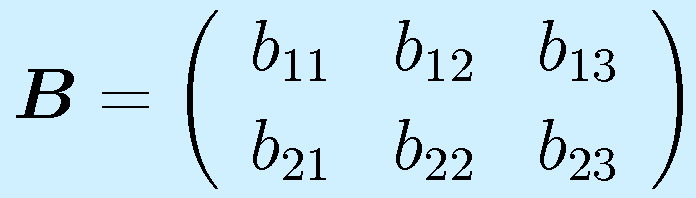 \vect{B}=\left(\begin{array}{rrr} b_{11}&b_{12}&b_{13}\\b_{21}&b_{22}&b_{23}\end{array}\right)