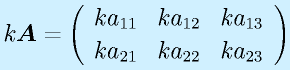 k\vect{A}=\left(\begin{array}{rrr} ka_{11}&ka_{12}&ka_{13}\\ka_{21}&ka_{22}&ka_{23}\end{array}\right)