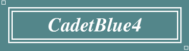 CadetBlue4:#53868B