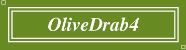 OliveDrab4:#698B22