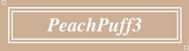 PeachPuff3:#CDAF95