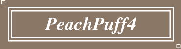 PeachPuff4:#8B7765