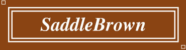 SaddleBrown:#8B4513
