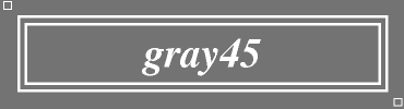 gray45:#737373