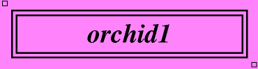 orchid1:#FF83FA