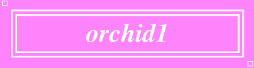 orchid1:#FF83FA