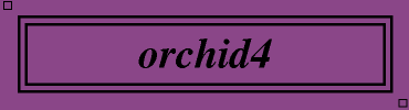 orchid4:#8B4789