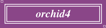 orchid4:#8B4789