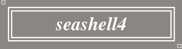 seashell4:#8B8682