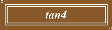 tan4:#8B5A2B