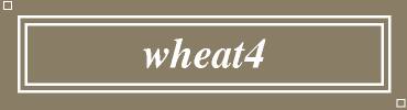 wheat4:#8B7E66